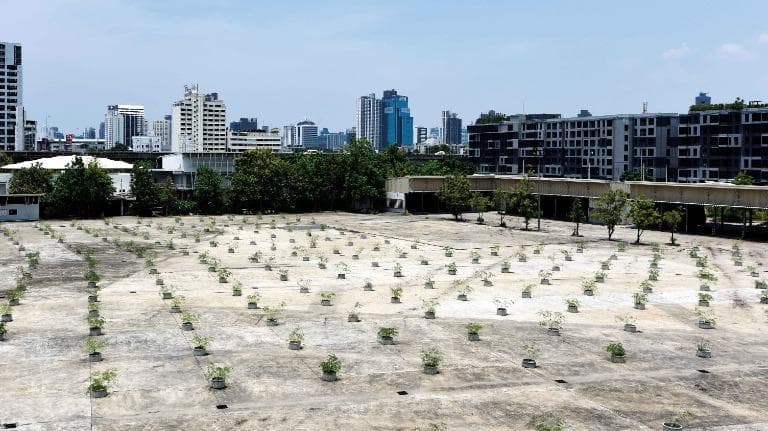 459 ภาษีที่ดินและสิ่งปลูกสร้างกับหย่อมป่าที่หายไป