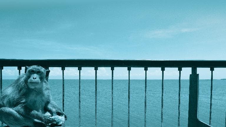 447 คำคุ้นในคำกลอนสุนทรภู่