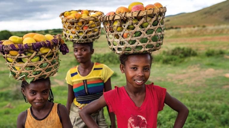 ลองอ่าน 407 Madagascar Lives on the Road