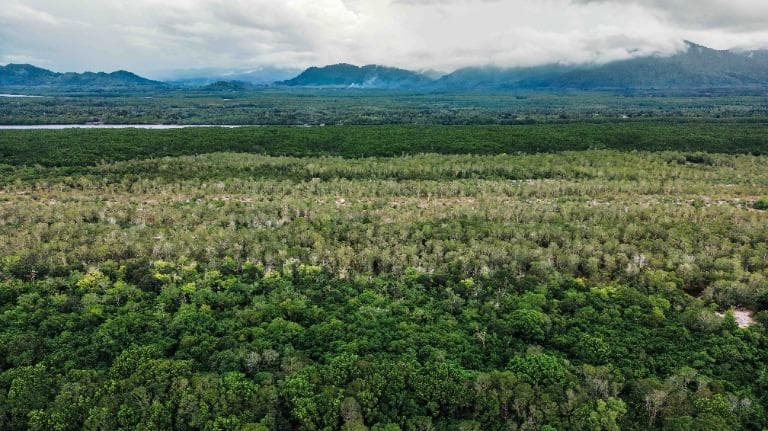 425 พื้นที่แหล่งอนุรักษ์ทะเลอันดามันตอนบน