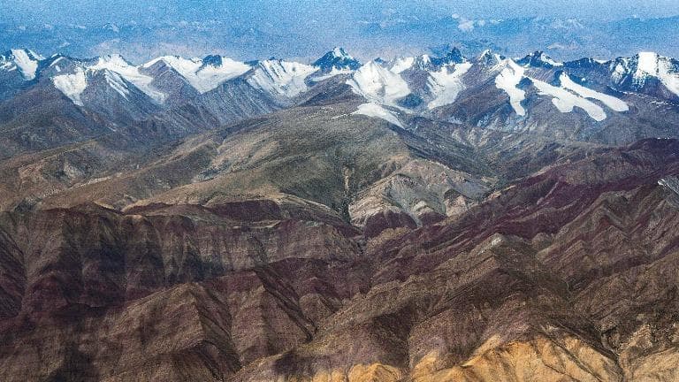 452 Blooming on the Third Pole หิมาลัยเบ่งบาน เส้นทางสายดอกไม้