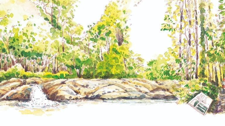 462 วาดเมือง นํ้าตกกะโรม