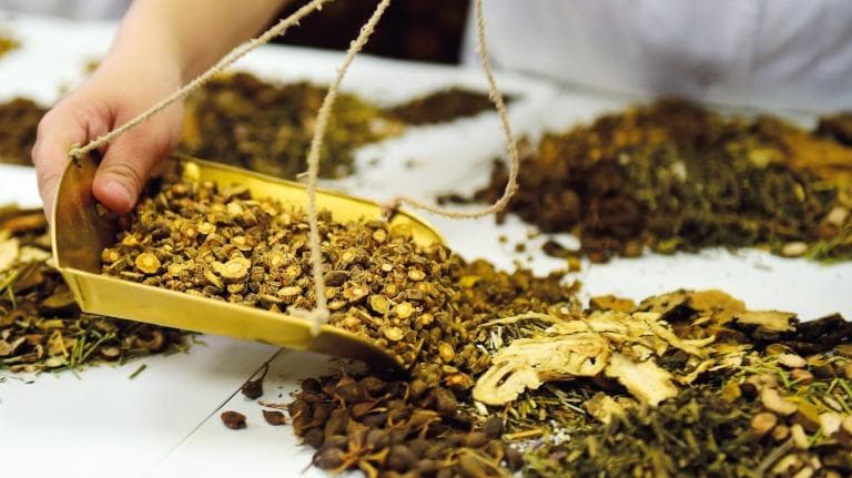 440 “ชิงเฟ่ยผายตู๋” ตำรับยาจีนรักษาโรคโควิด-๑๙