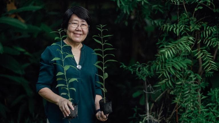 440 ต้นไม้ความหวัง ทางอีกสายสมุนไพรสู้โควิด EP.03