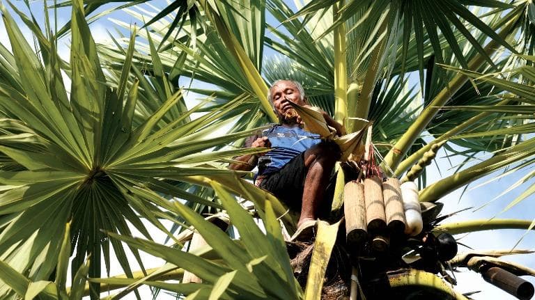 460 โหนดและเลสาบบนคาบสมุทร