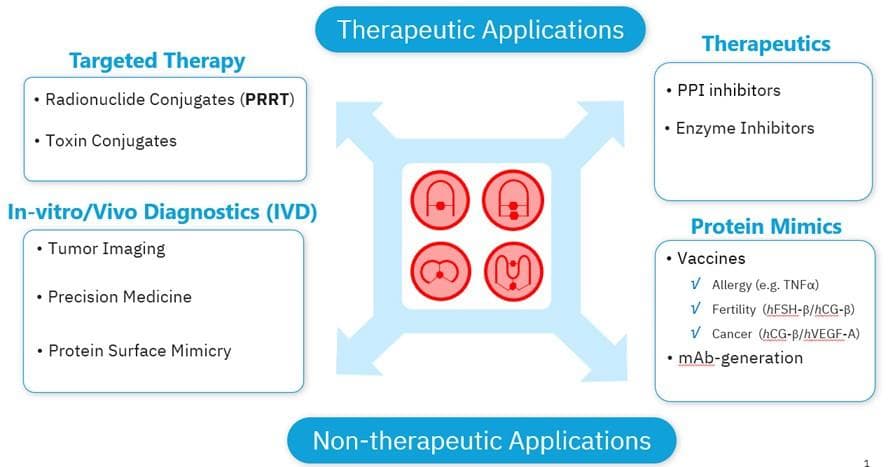 Peptide therapeutics: reconstructing protein surfaces using constrained peptides
