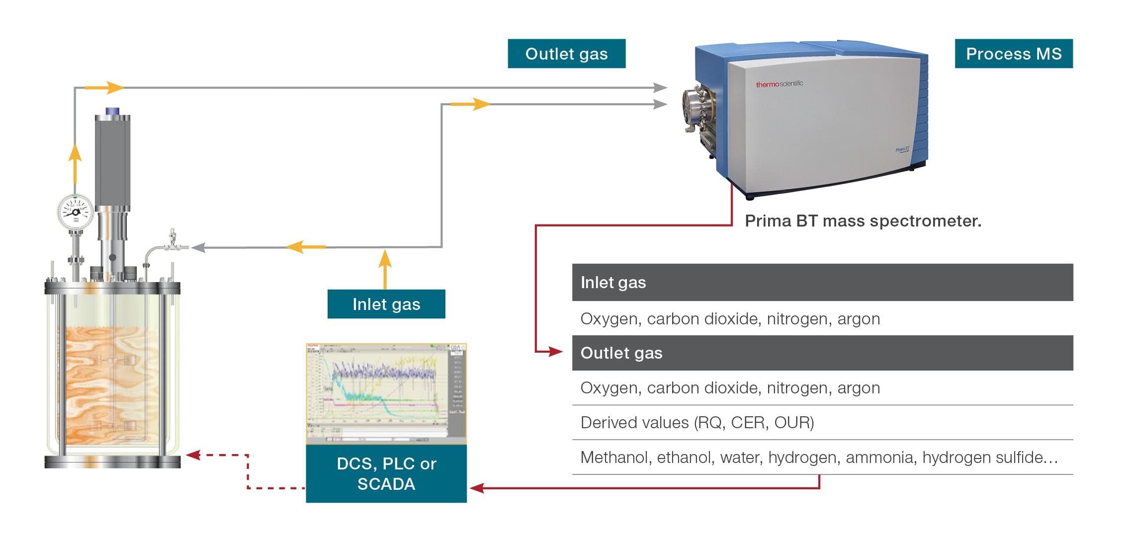 A quality boost from mass spectrometry for fermentation processes
