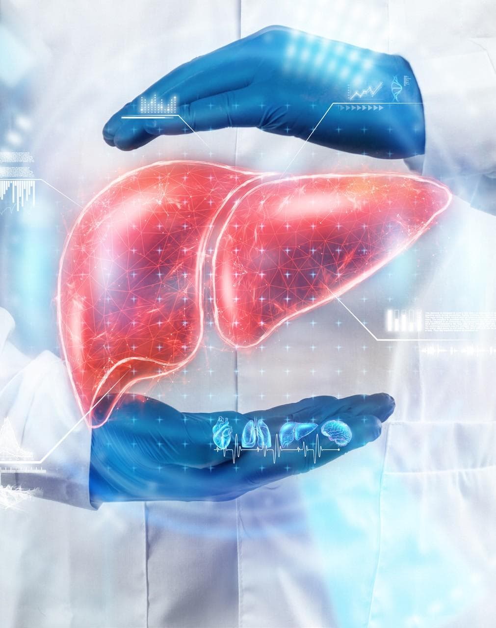 Rezdiffra approved by FDA as first treatment for liver scarring due to fatty liver disease