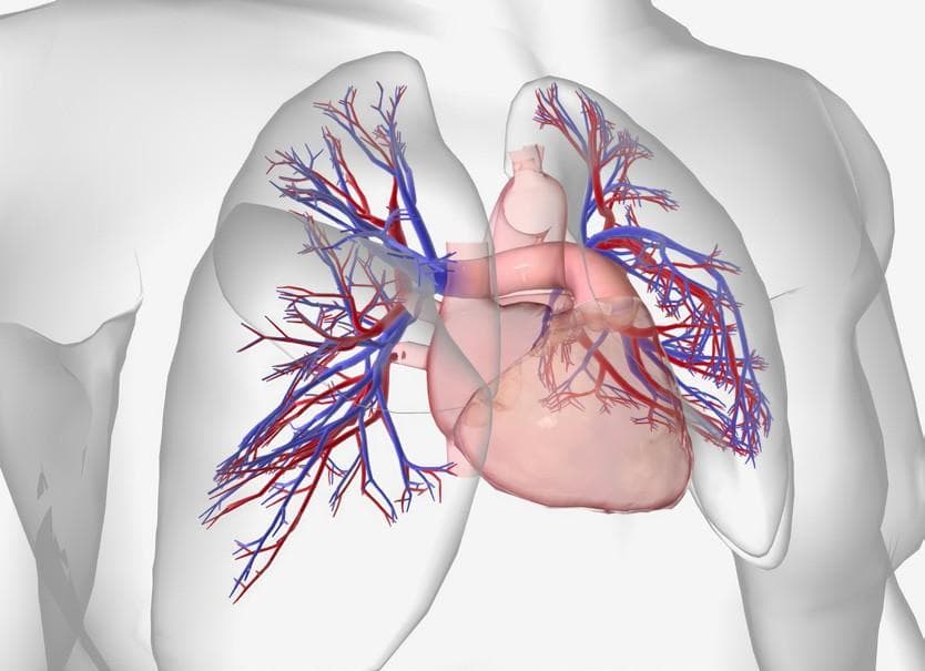 J&J’s Opsynvi approved in US for PAH treatment