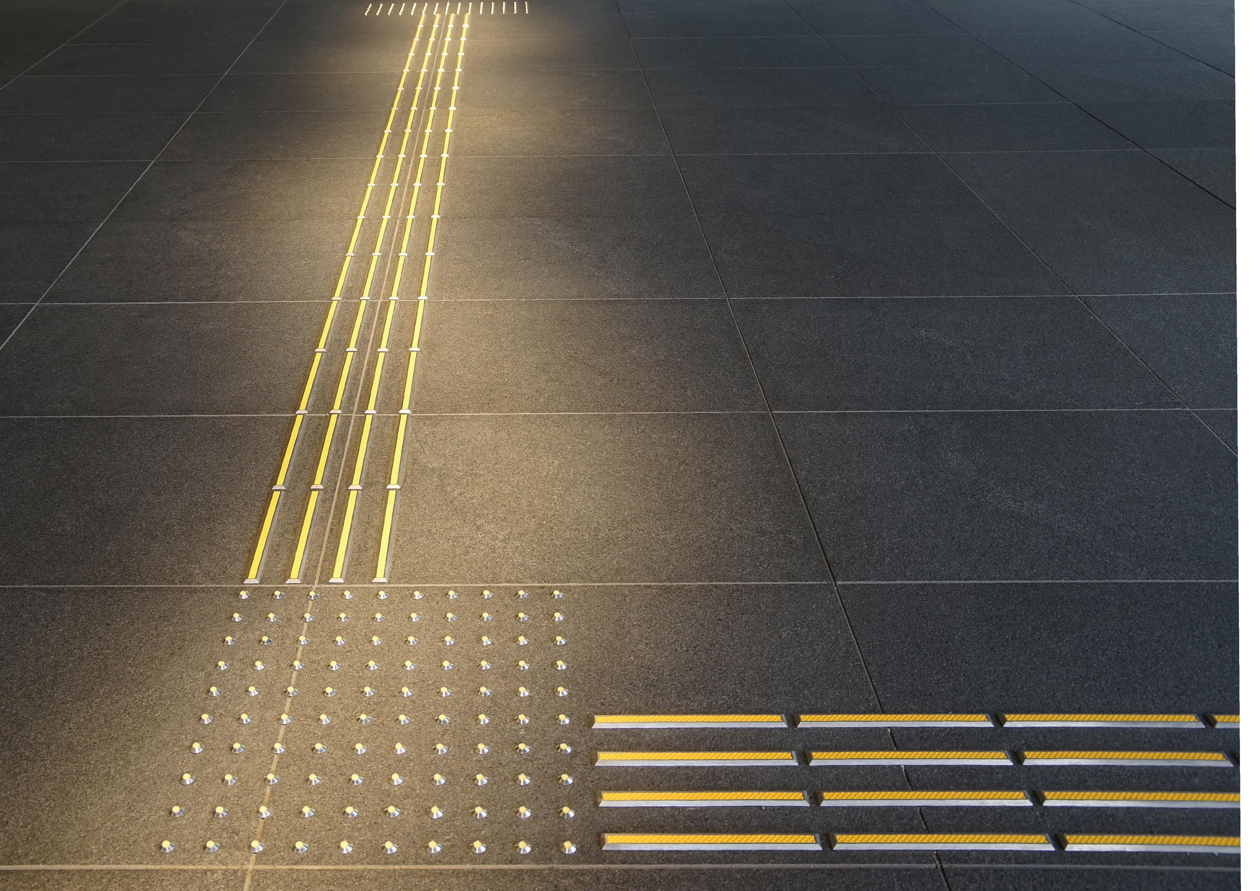 WELCOME TO THE MACULAR DISEASE ISSUE