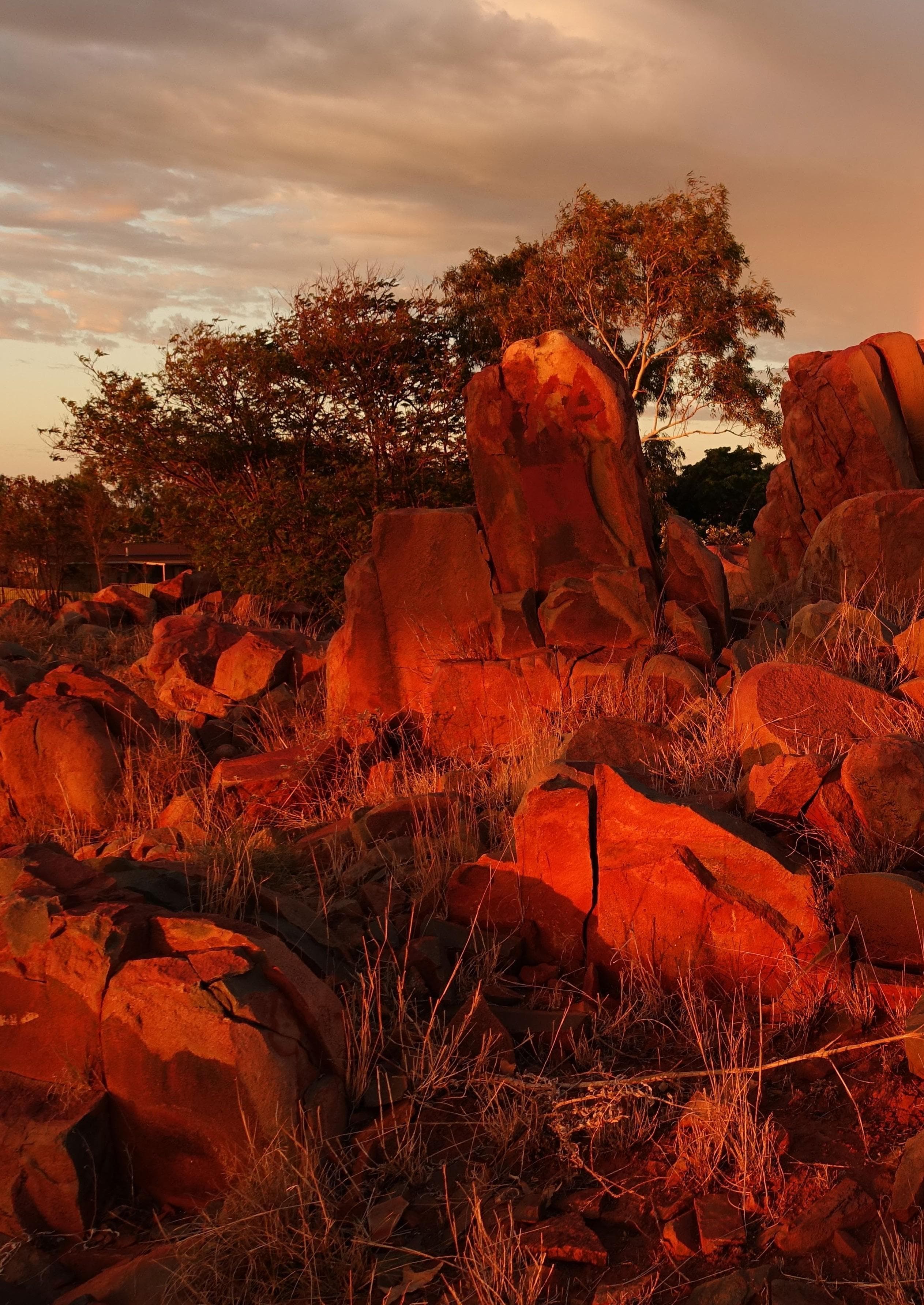 Improving Access to Outback Eye Care with Cutting-Edge Technology