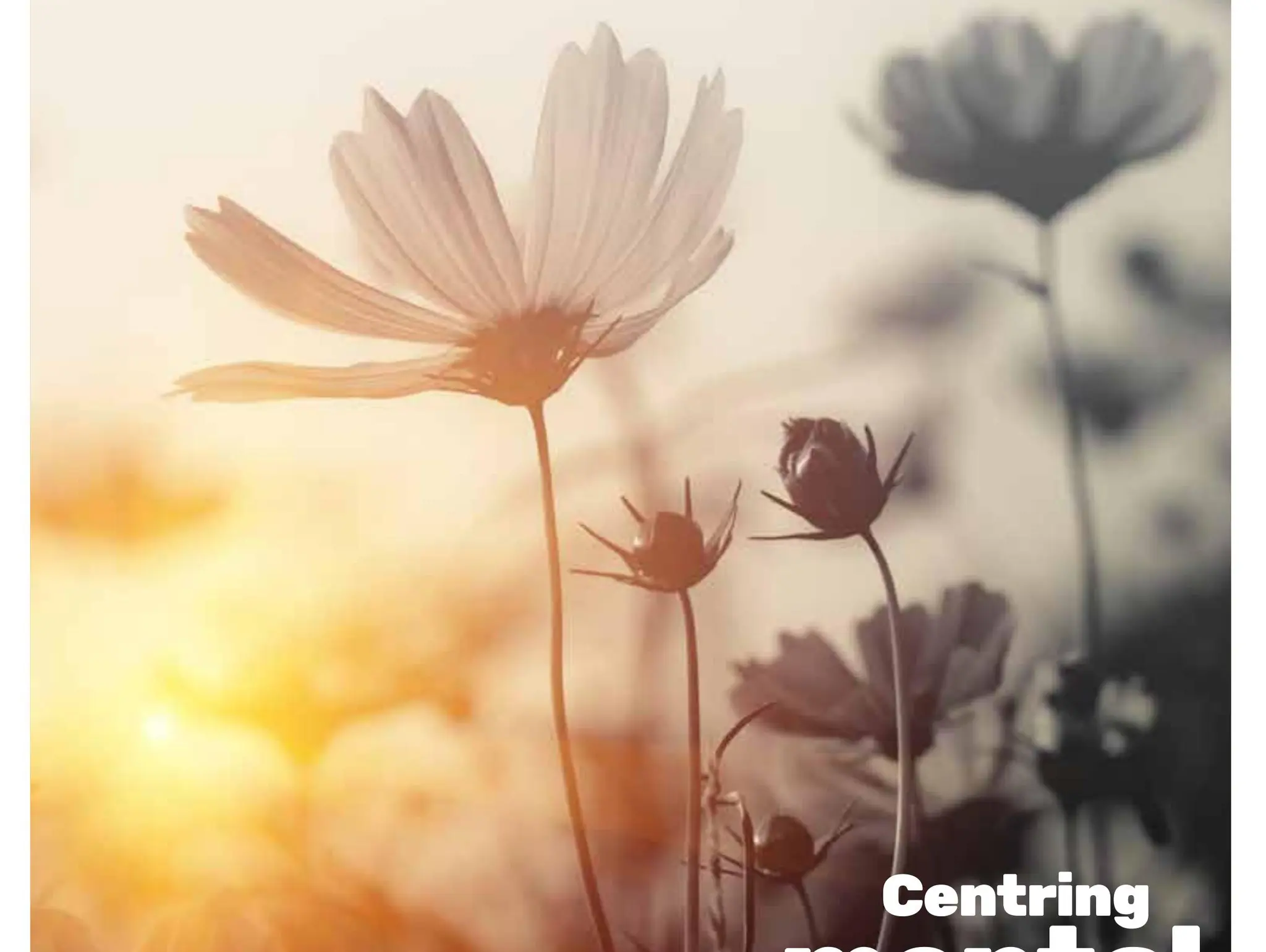 Early Years Alliance