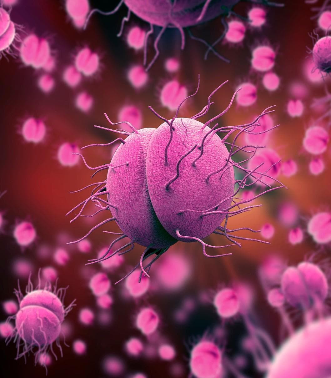 GSK announces results from phase 3 gonorrhoea treatment trial