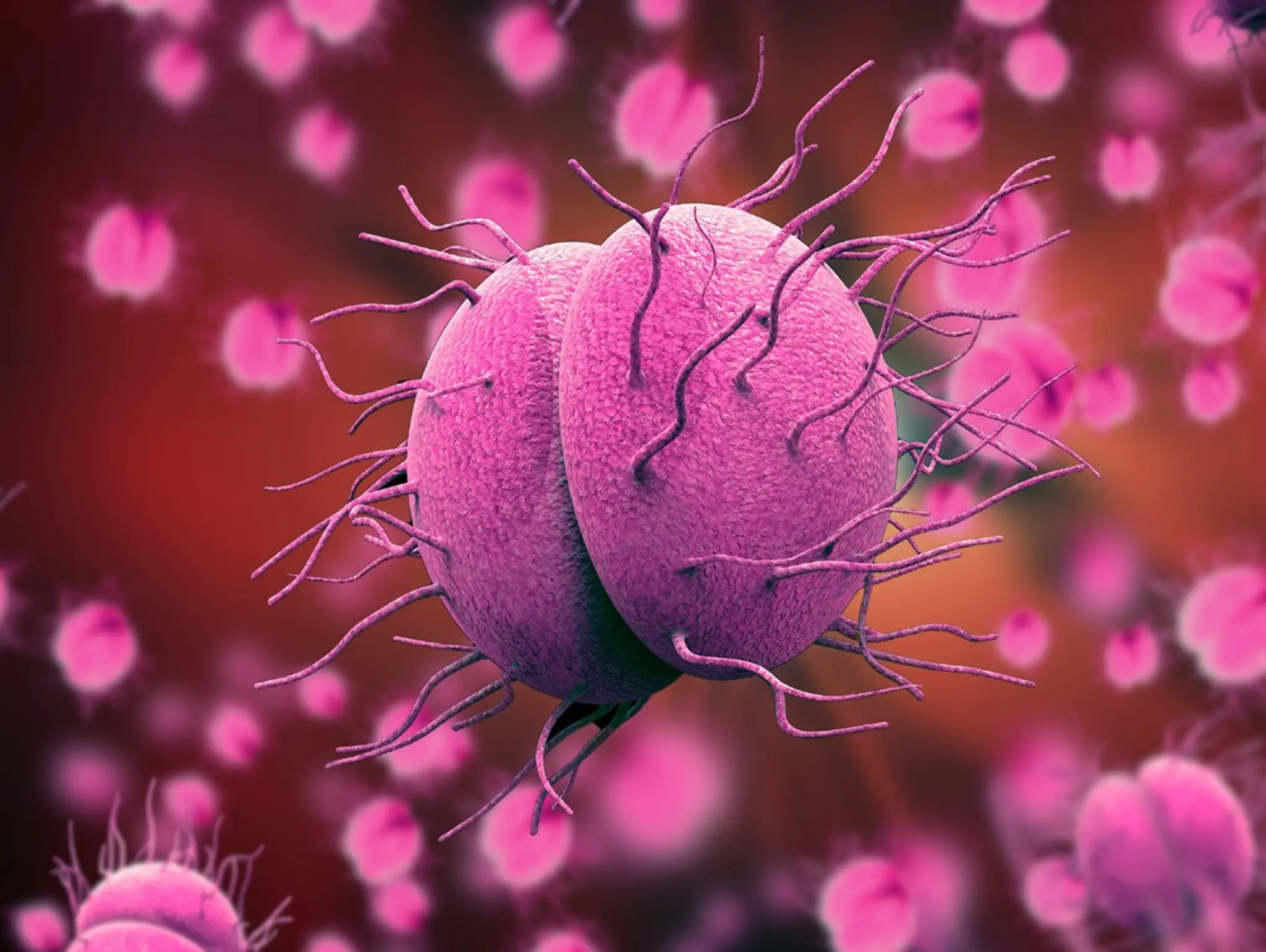 GSK announces results from phase 3 gonorrhoea treatment trial