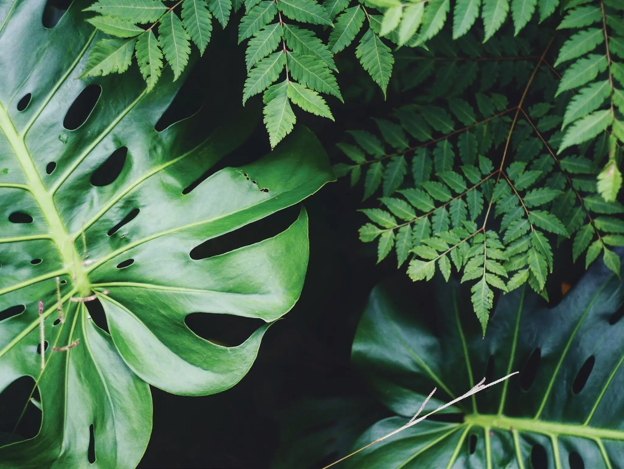 Climate Change And Mental Health - Where to seek further information