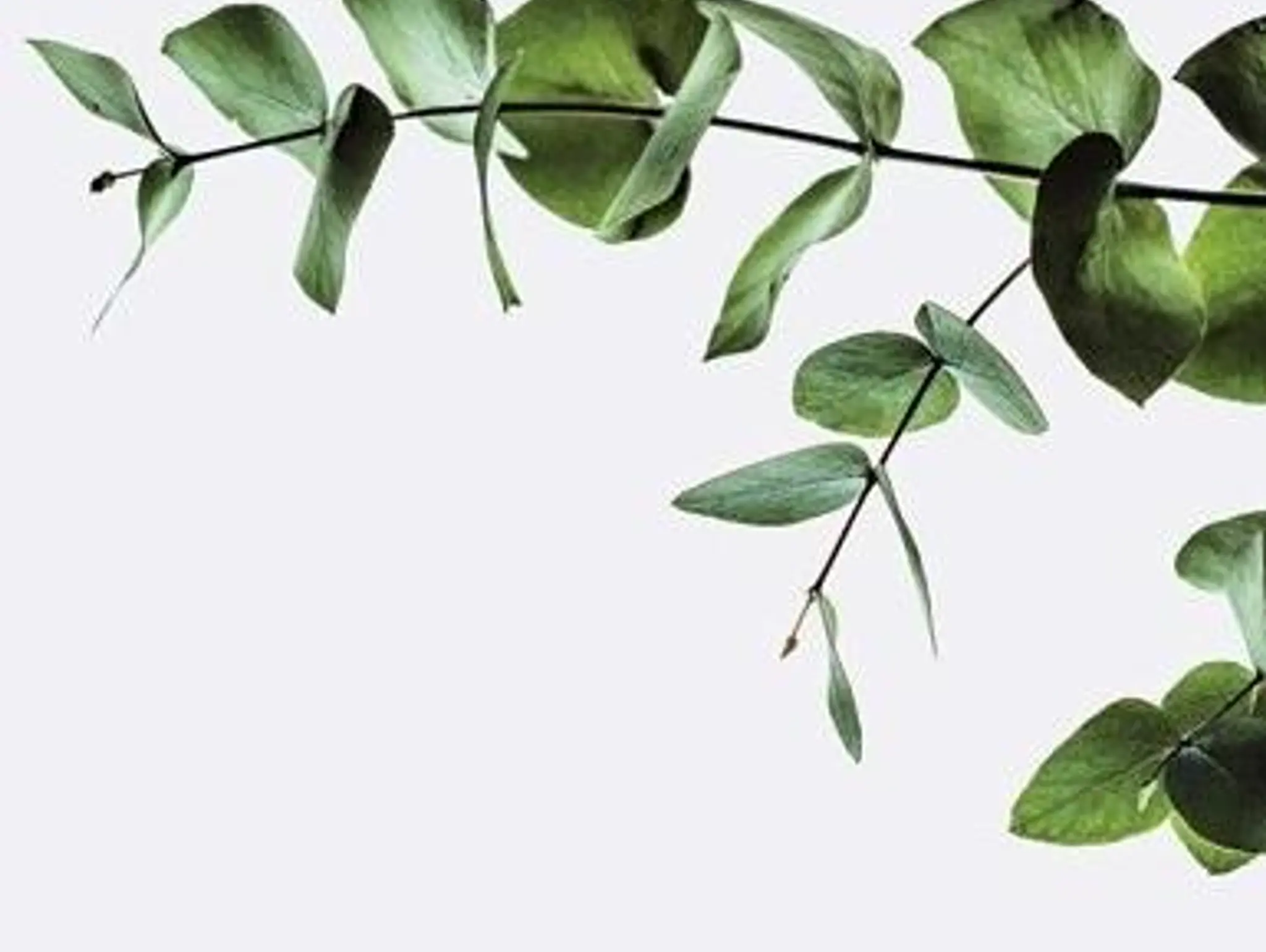 Editorial Autumn 2023