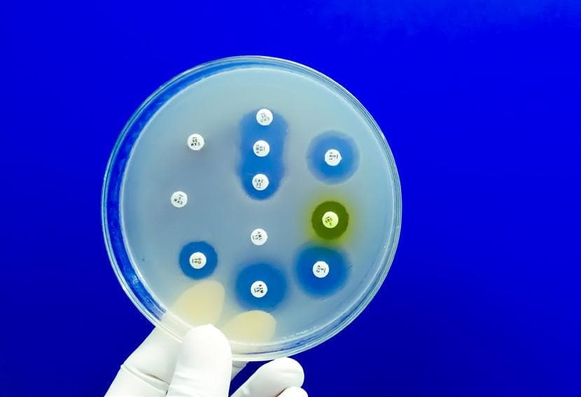 GSK invests £45m with Fleming Initiative to combat AMR
