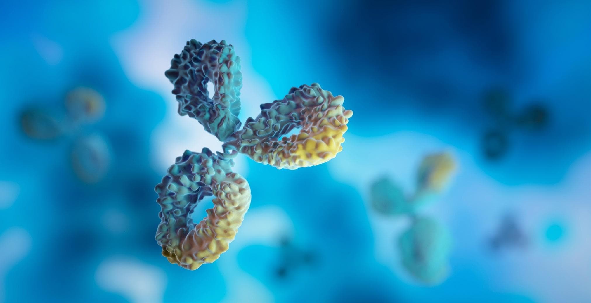 Protein-based immunotherapies – the journey from discovery to manufacturing