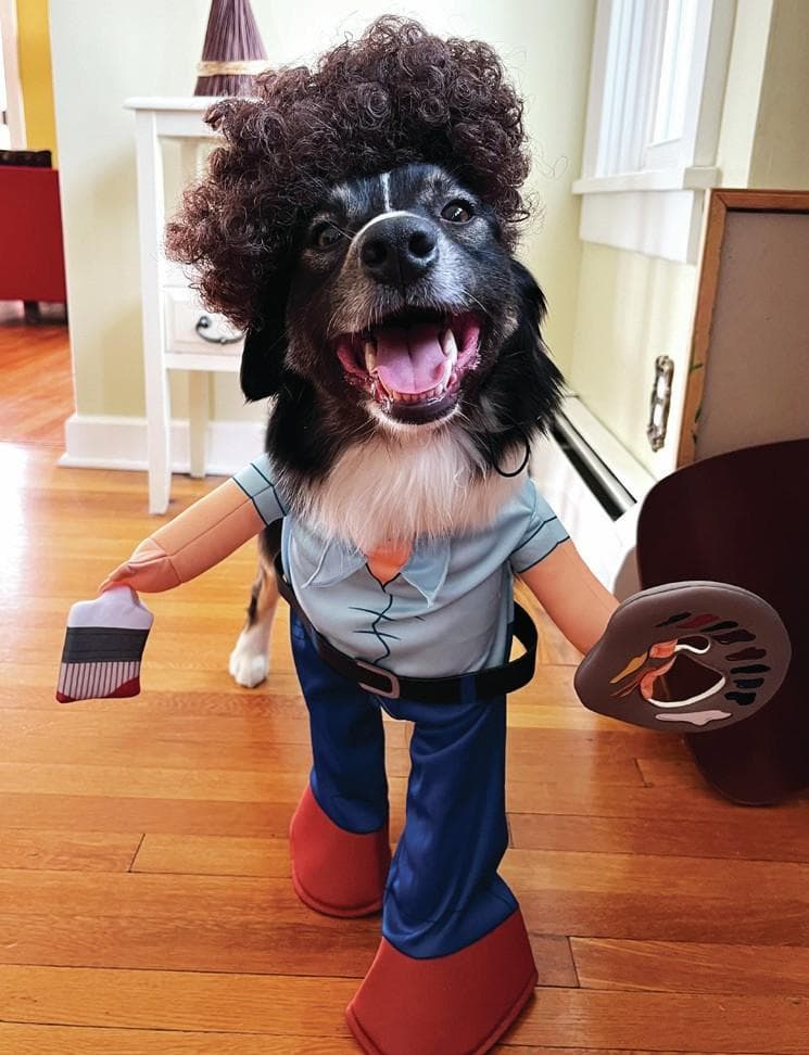 Managing the Art Room: Everyone Talks Dog