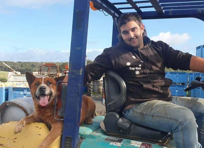 Where is the SUPPORT?