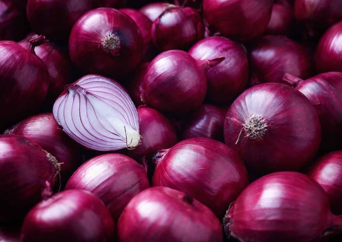 Have you secured tickets to Hort Connections 24?