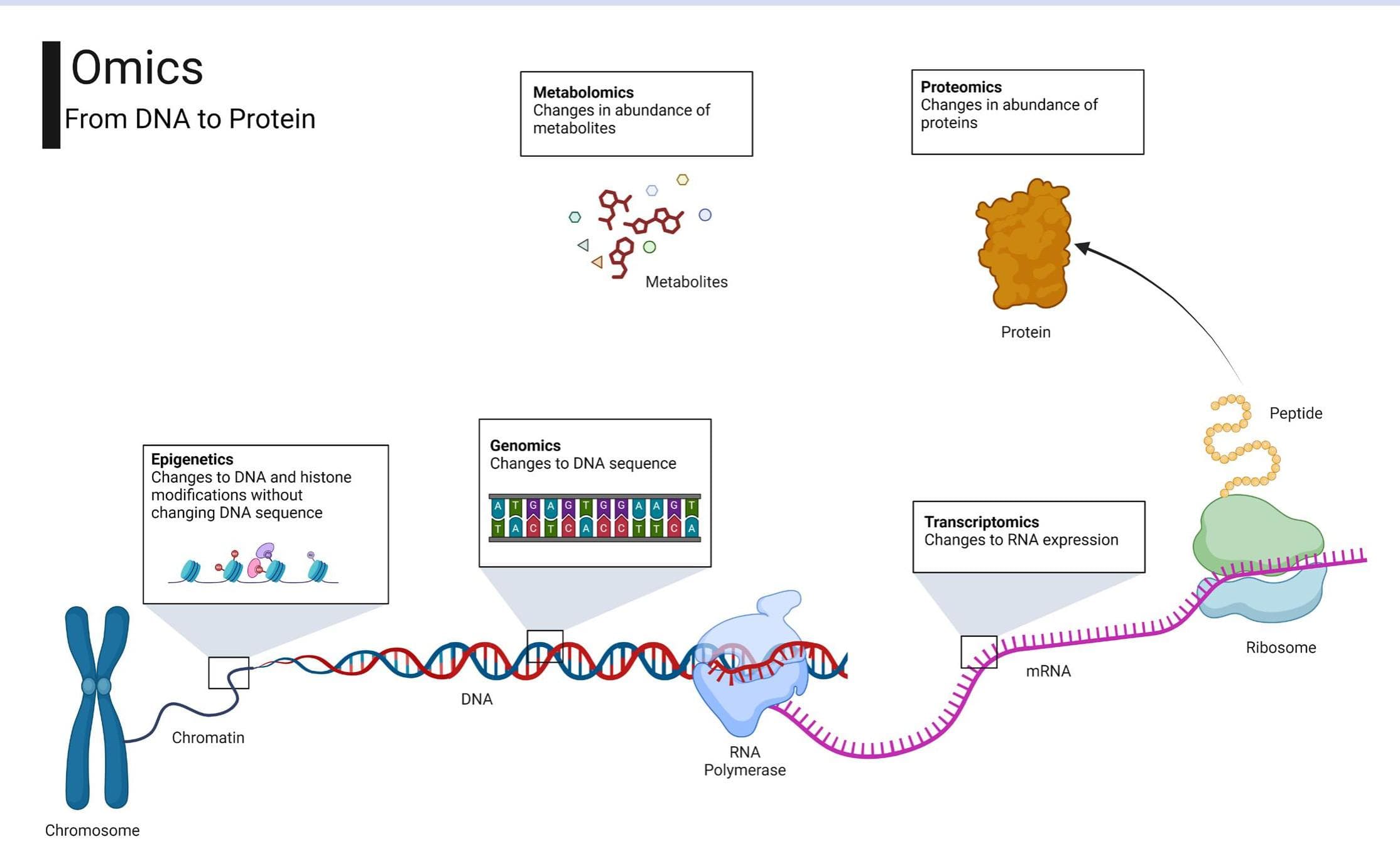Myopia Insights Through the Lens of Omics