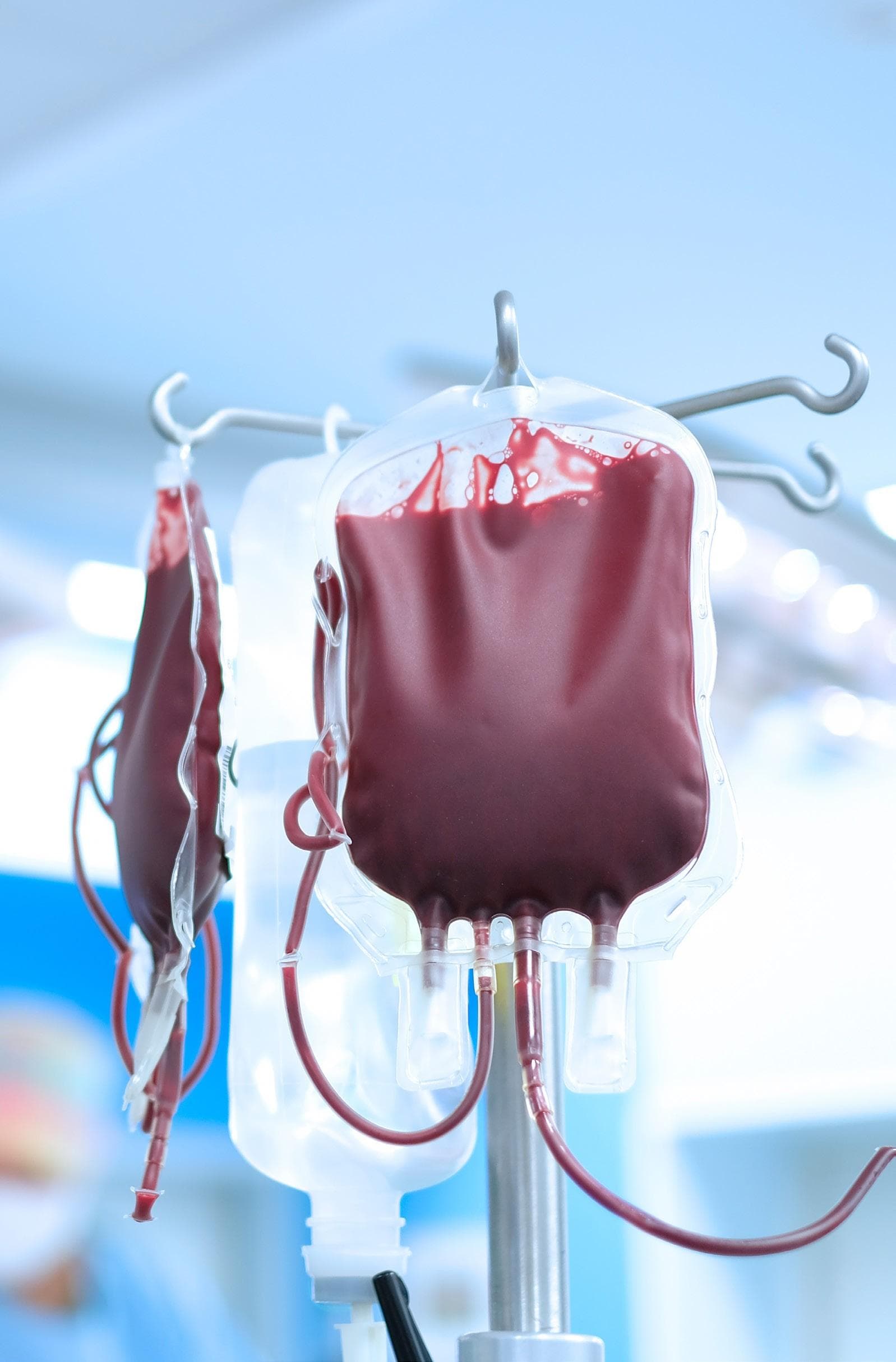 Five Facts about blood transfusions