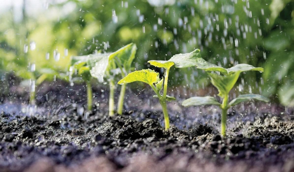 PROACTIVE ADVOCACY for Your Water Rights