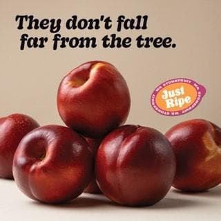 WA Stonefruit Marketing Campaign: “WE LOVE WA STONEFRUIT”