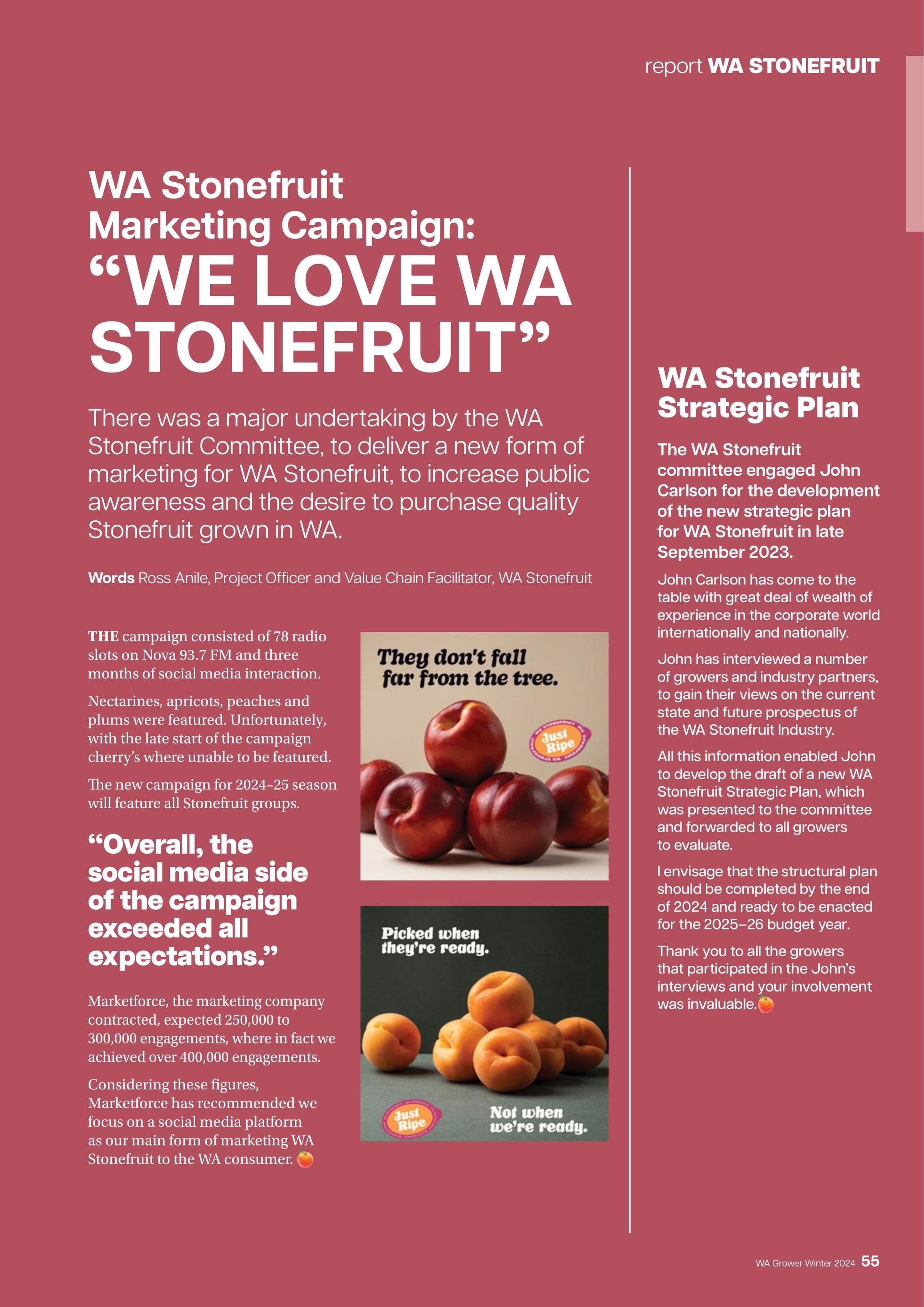 WA Stonefruit Strategic Plan