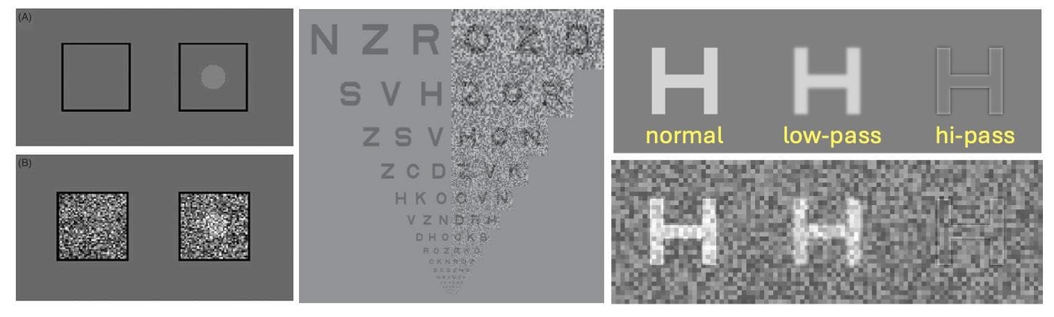 Testing the Vision of Children