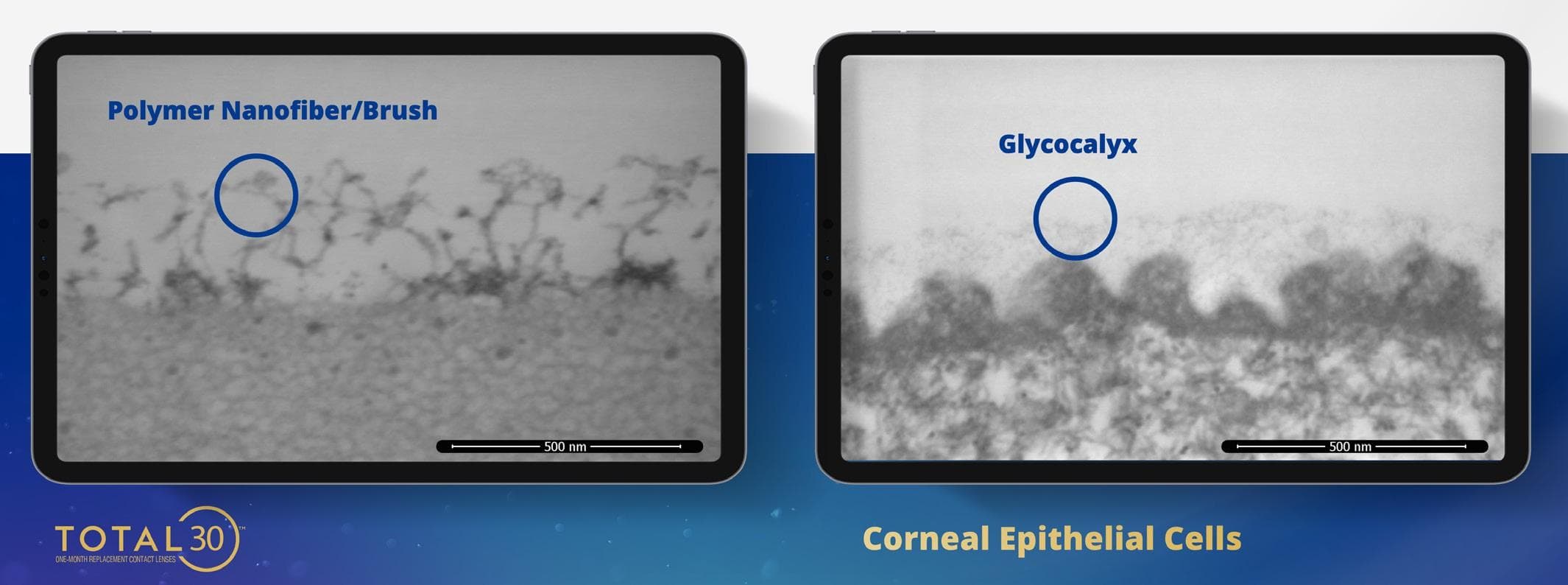 ‘Nothing’ Less Than Brilliant?