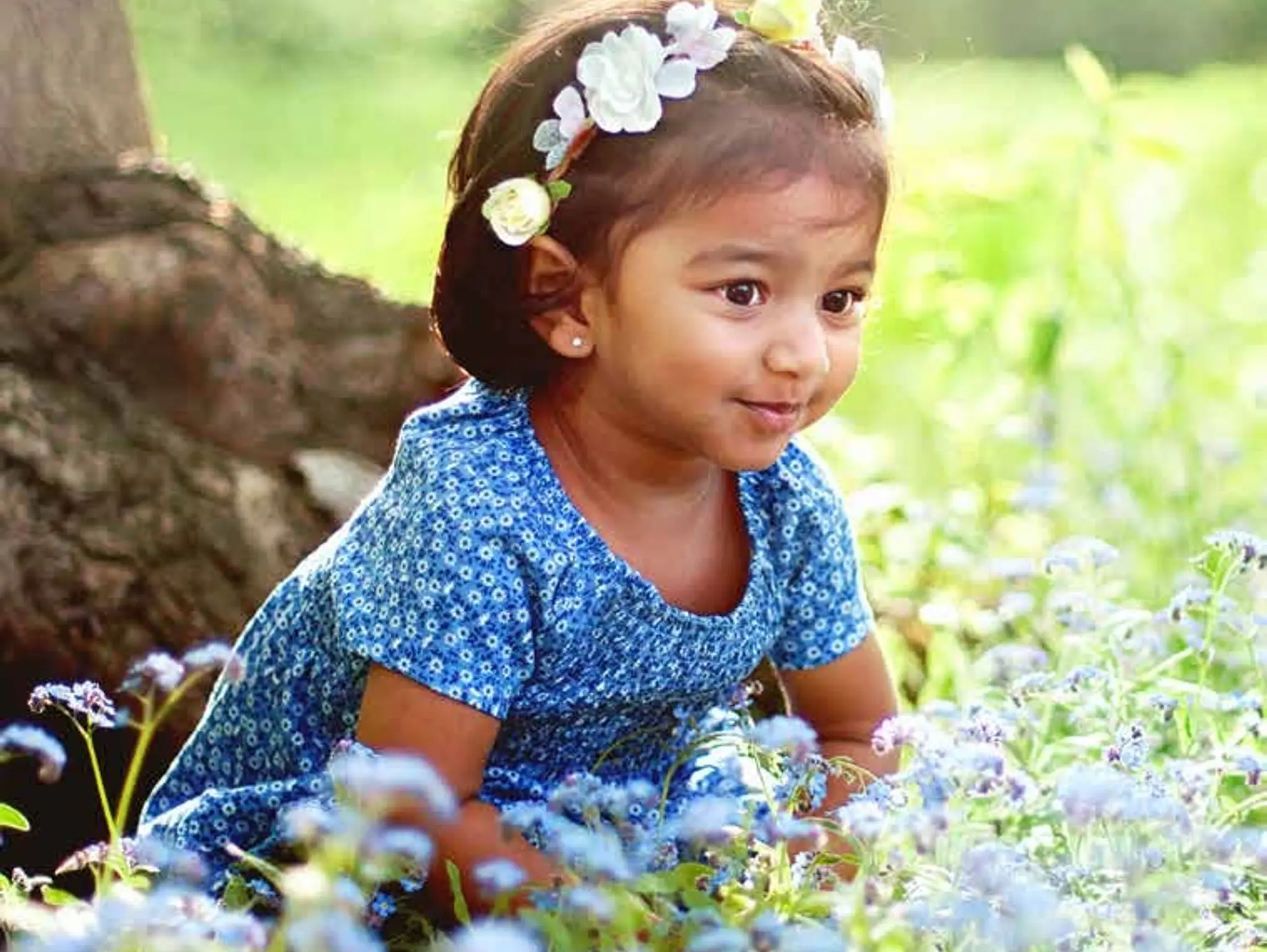 Setting sustainable intentions