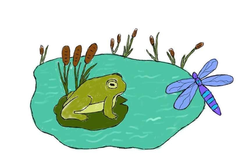 Nurturing the future