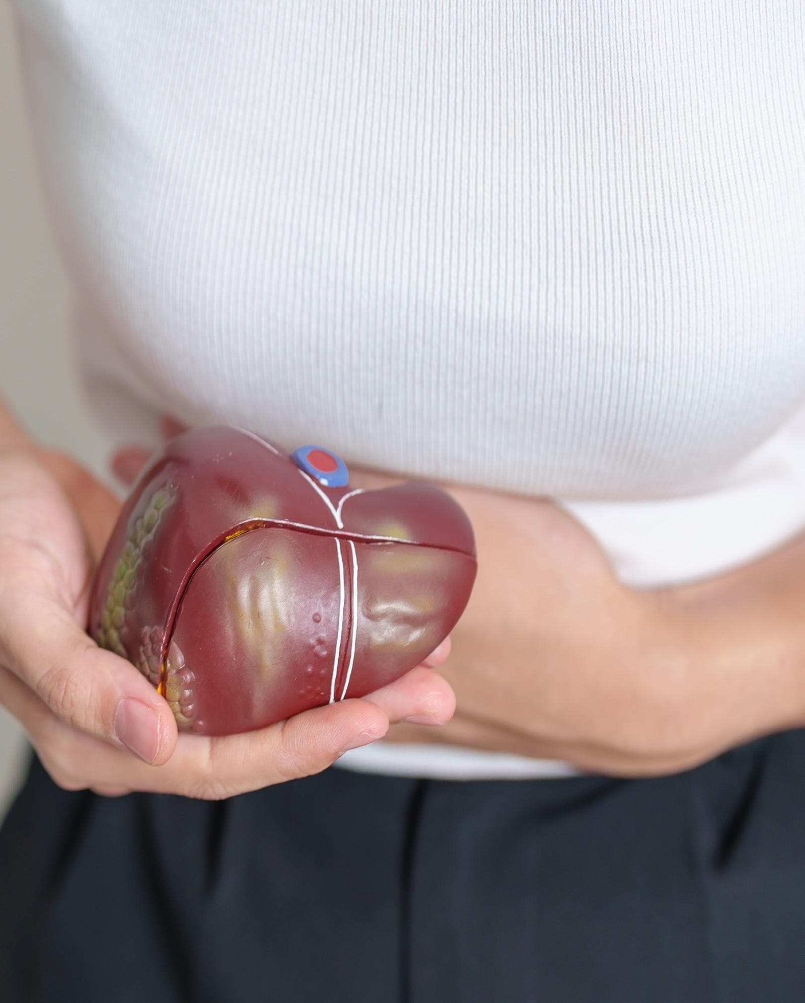 Five Facts about Primary Biliary Cholangitis