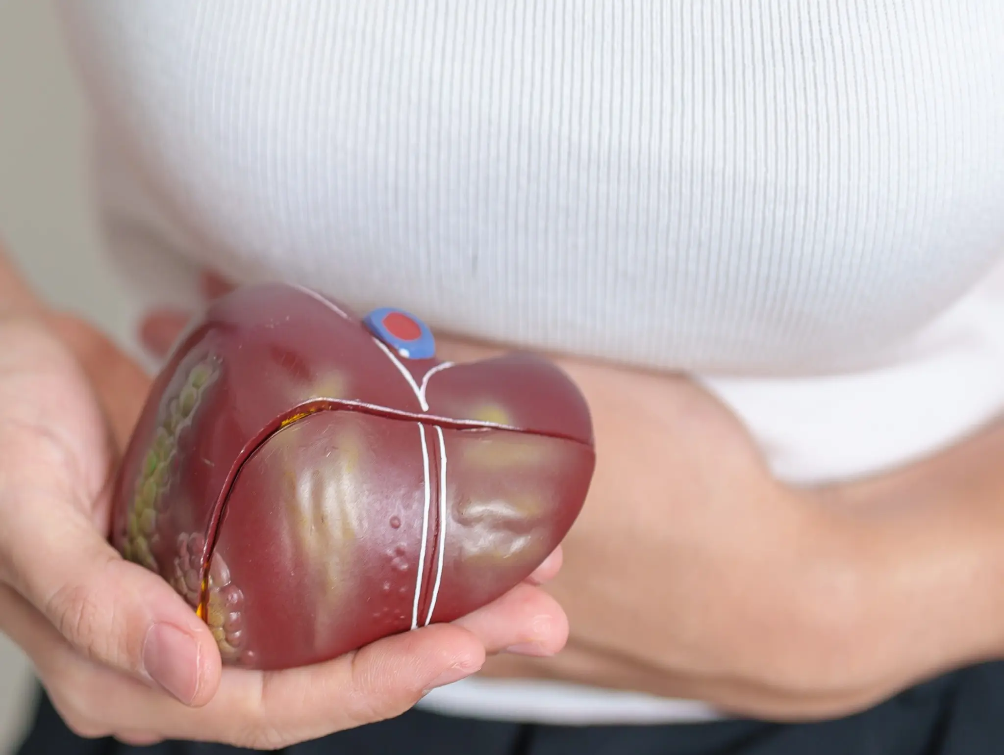 Five Facts about Primary Biliary Cholangitis