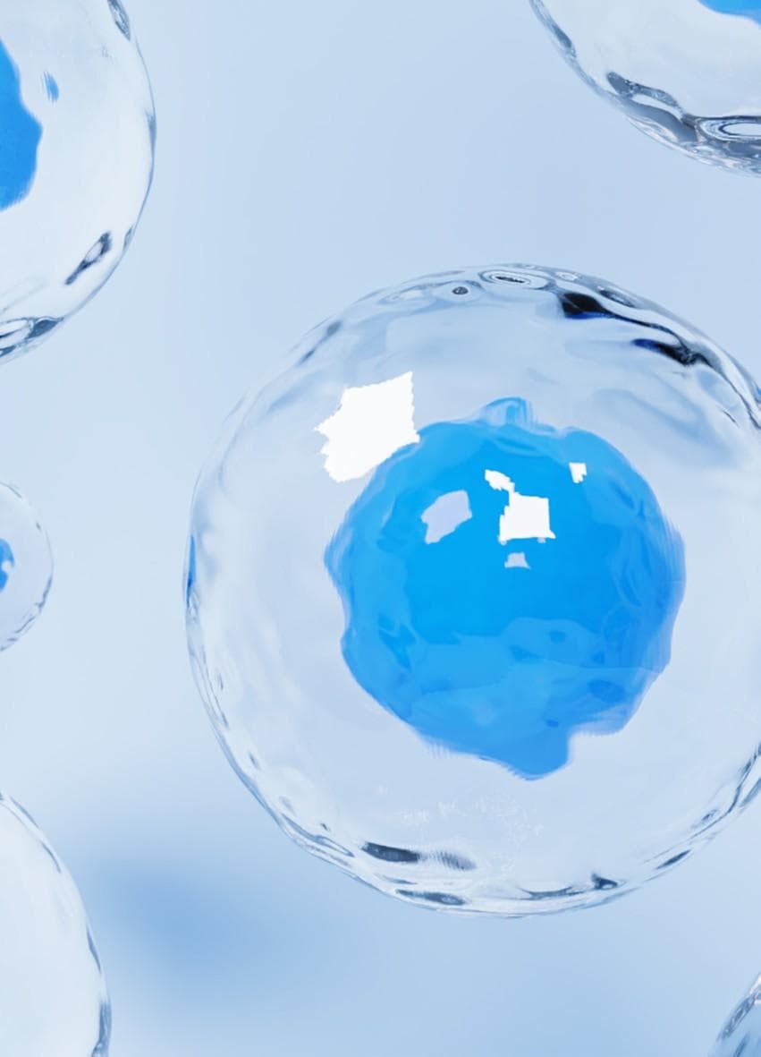 Adaptimmune receives US FDA Accelerated Approval for engineered cell therapy for a solid tumour