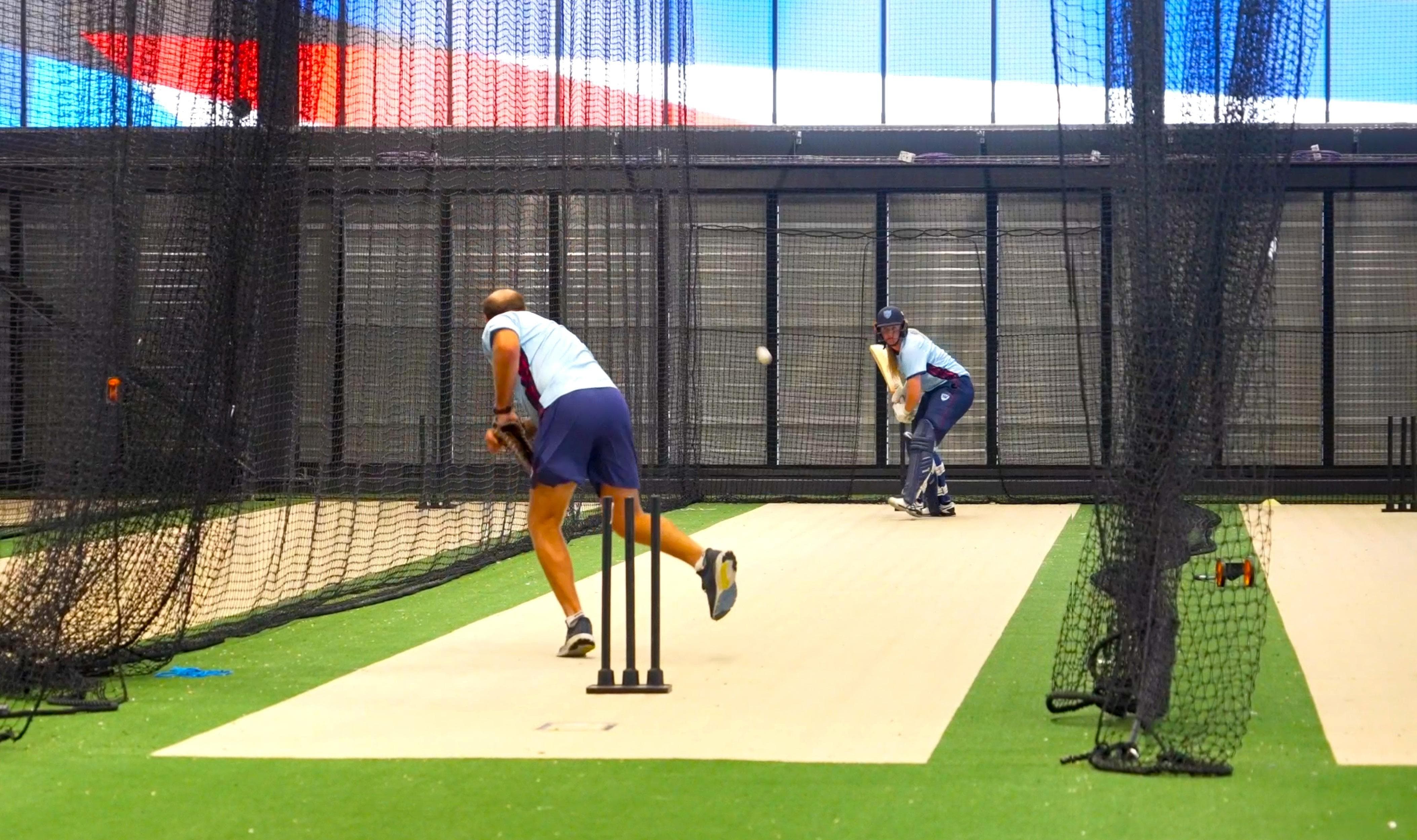 New Focus on Cricket’s UV Danger