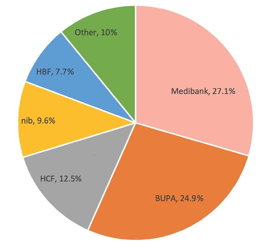 Navigating Murky Waters: Private Health Rebates
