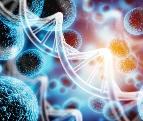 Preclinical development started for PolTREG’s CAR-Treg neuroinflammatory autoimmune disease study