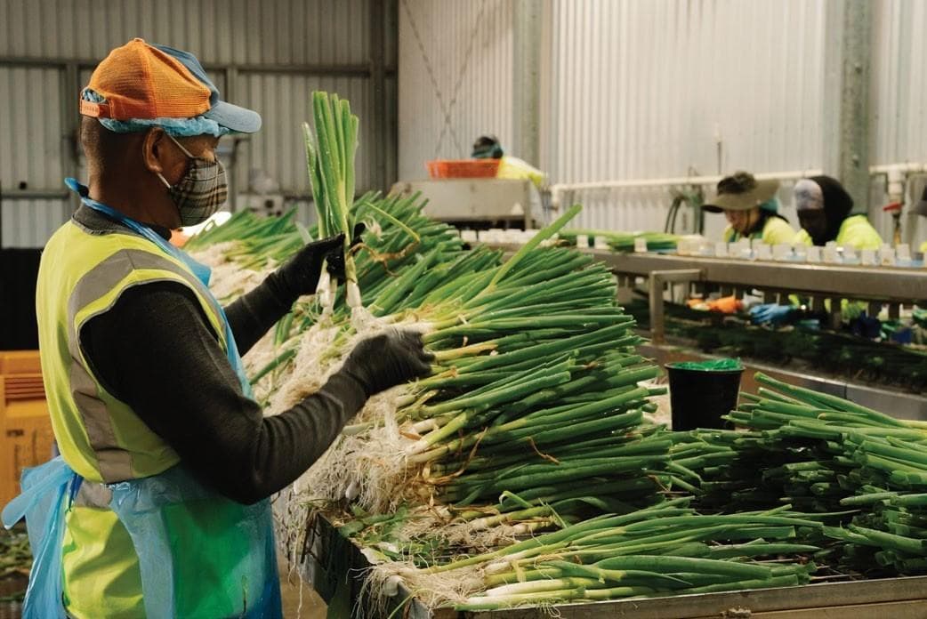 COMPLACENCY in horticultural food safety