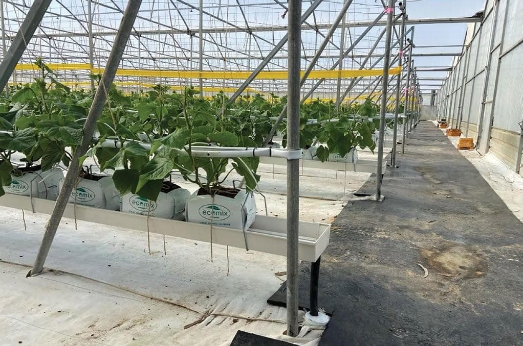 GNANGARA HORTICULTURE WATER USE EFFICIENCY projects underway