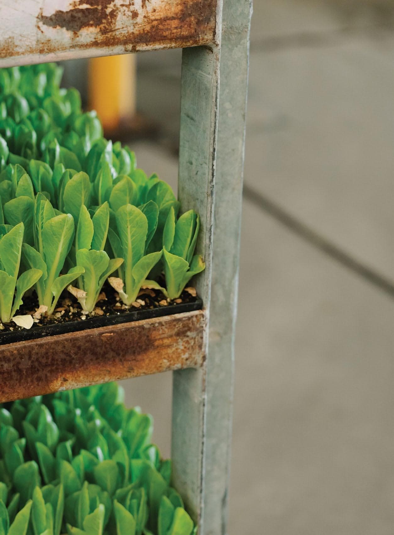 Celebrating INDUSTRY INITIATIVES