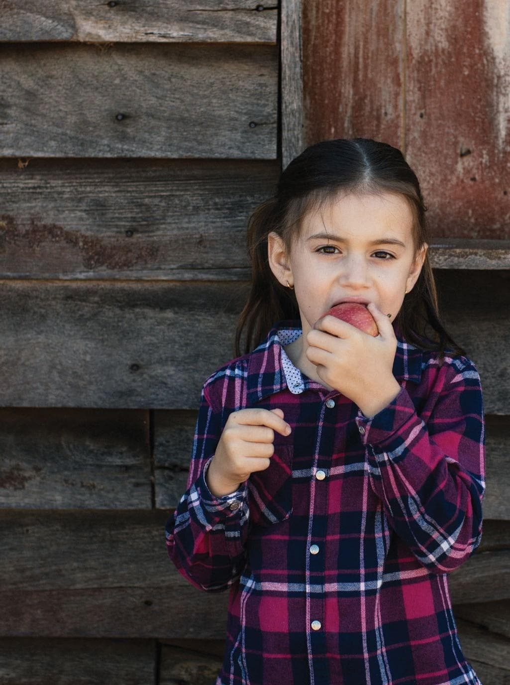 COULD AN APPLE A DAY keep the snackgrets away?