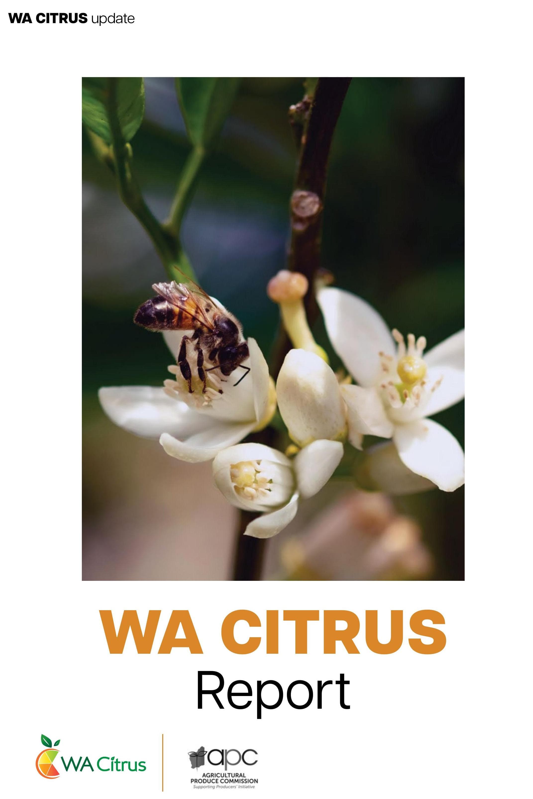 WA CITRUS