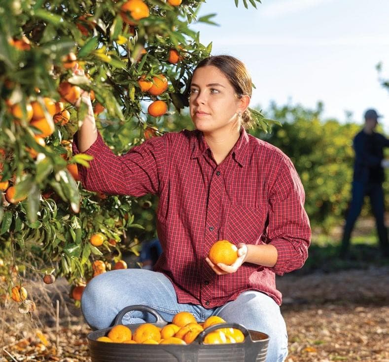 FREE RESOURCES for growers