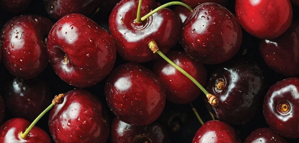 CHERRY INDUSTRY CONFERENCE