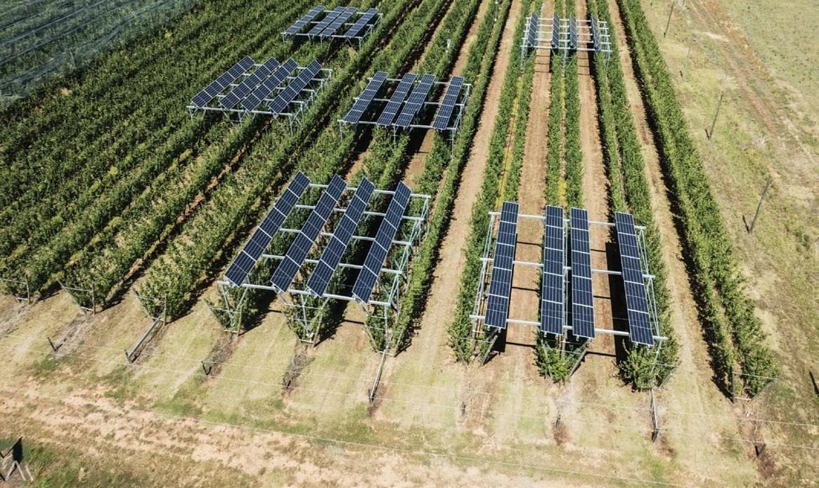 SUMMERFRUIT Conference & Field day