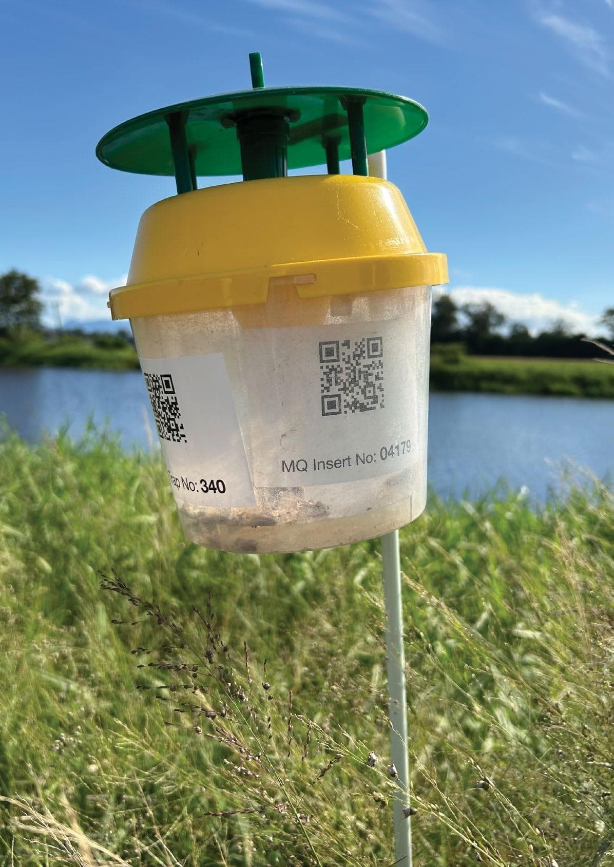 FALL ARMYWORM PHEROMONE BLENDS for lure optimisation in Australia