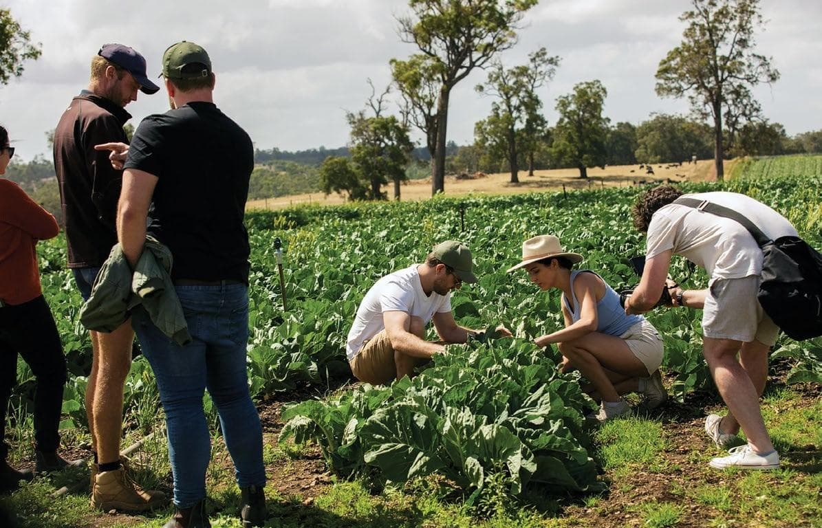 SOUTHERN FORESTS DOCUMENTARY